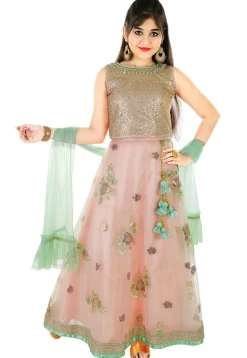Embroidered Net Lehenga in Peach