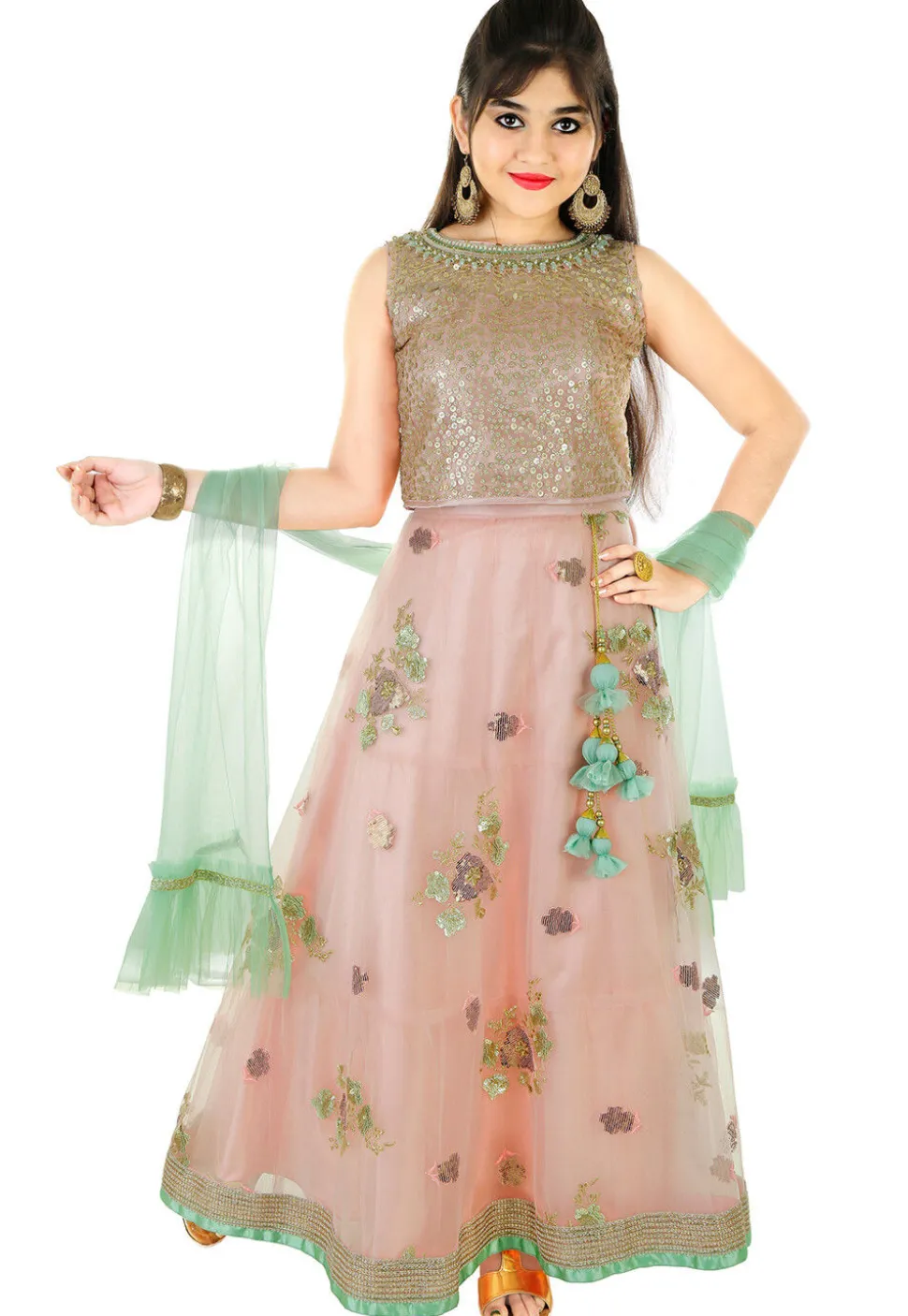 Embroidered Net Lehenga in Peach