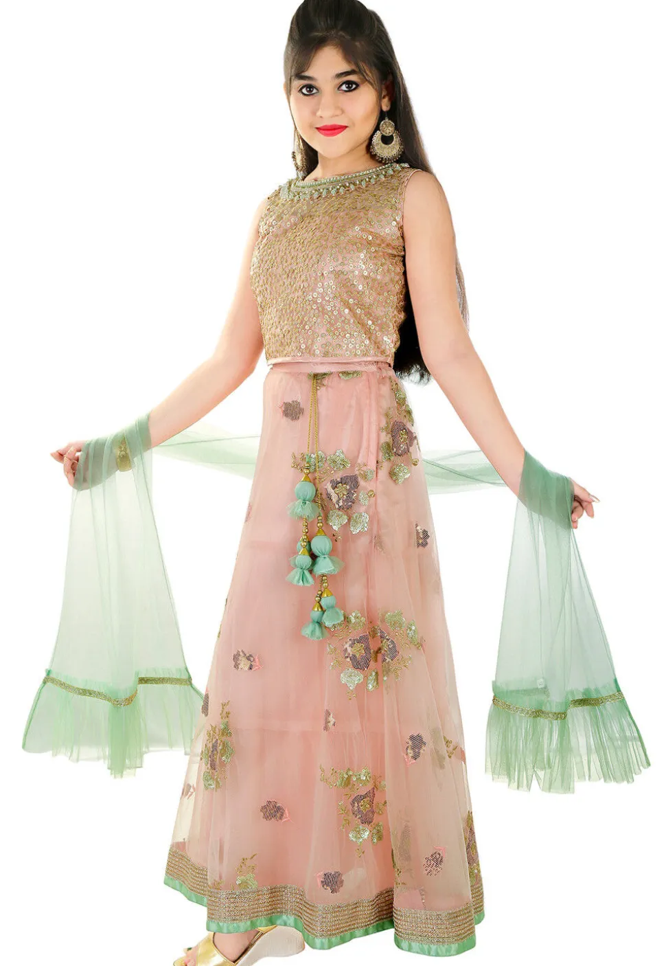 Embroidered Net Lehenga in Peach