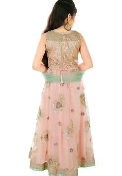 Embroidered Net Lehenga in Peach