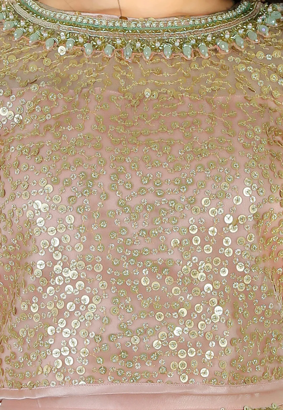 Embroidered Net Lehenga in Peach