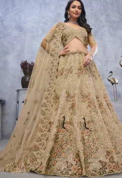 Embroidered Net Lehenga in Beige