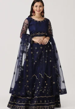 Embroidered Net Lehenga in Navy Blue