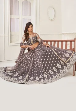 Embroidered Net Lehenga in Grey