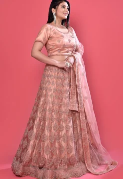Embroidered Net Lehenga in Peach