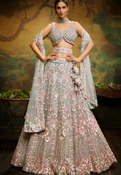 Embroidered Net Lehenga in Dusty Green