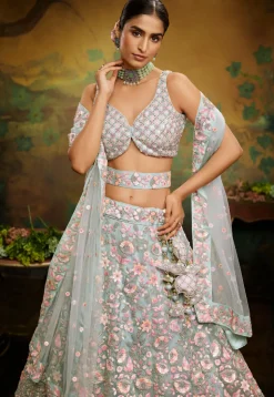 Embroidered Net Lehenga in Dusty Green