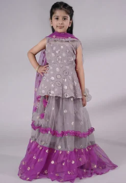Embroidered Net Lehenga in Grey and Purple
