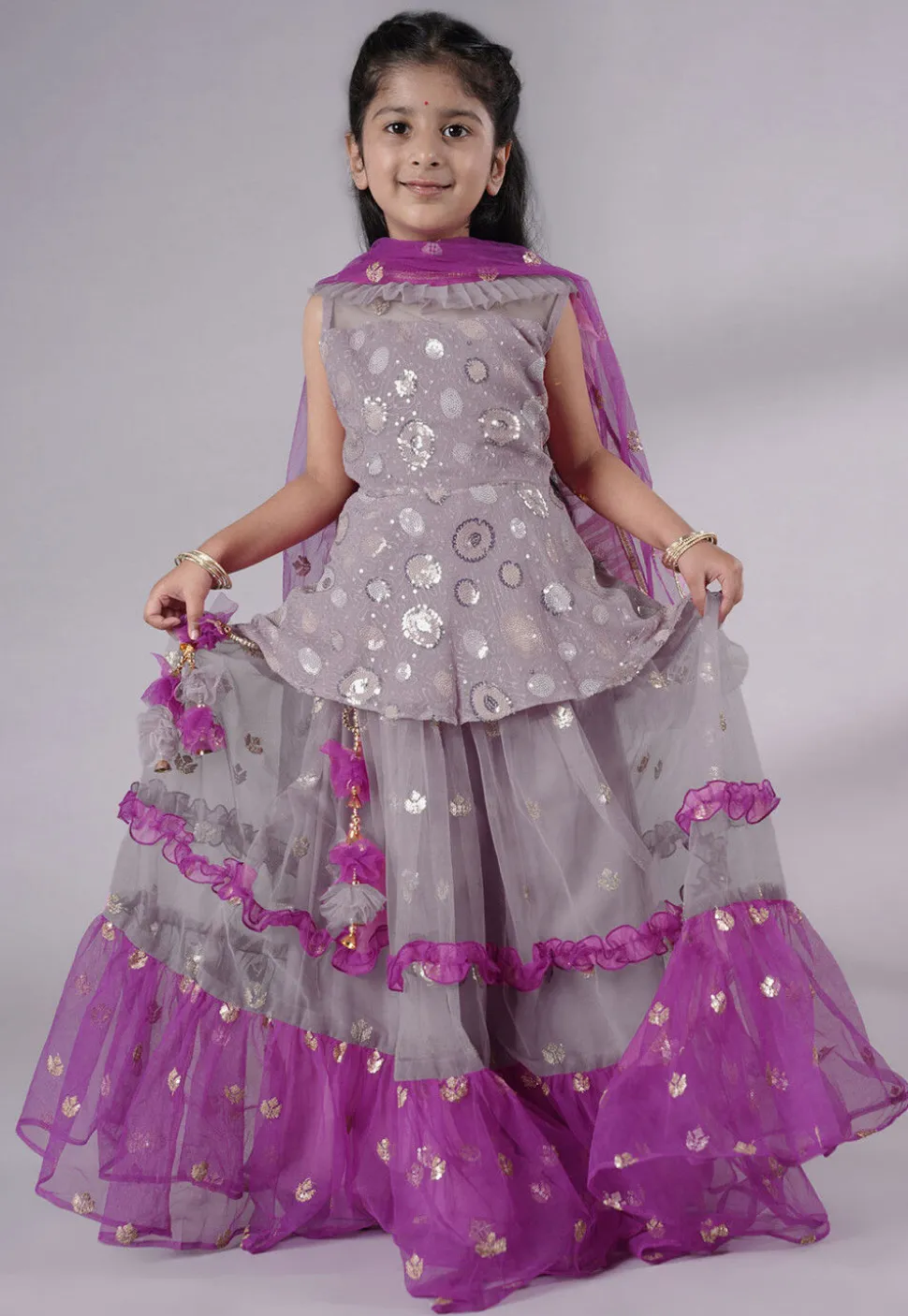 Embroidered Net Lehenga in Grey and Purple