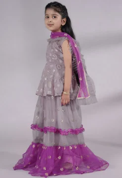 Embroidered Net Lehenga in Grey and Purple