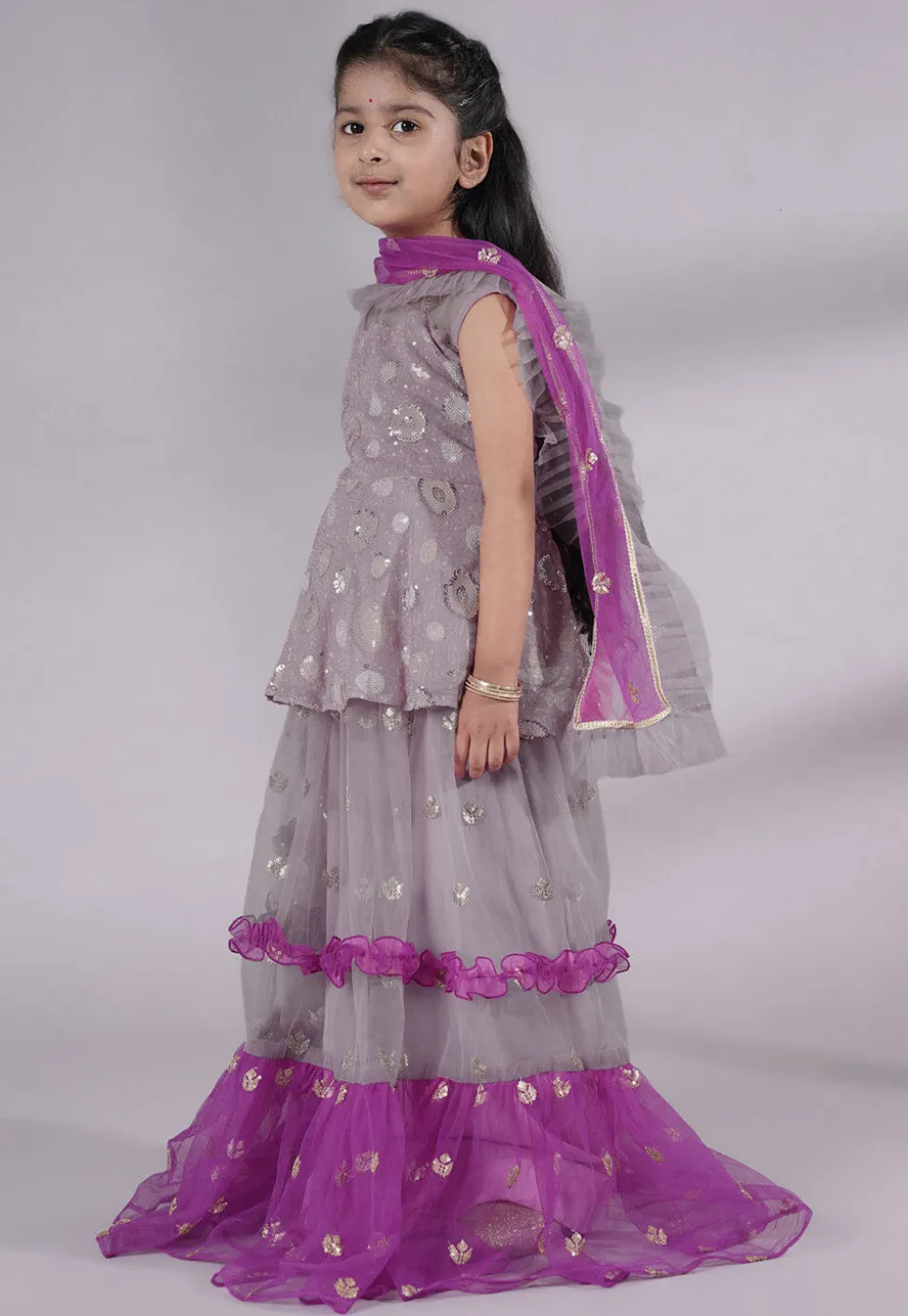 Embroidered Net Lehenga in Grey and Purple