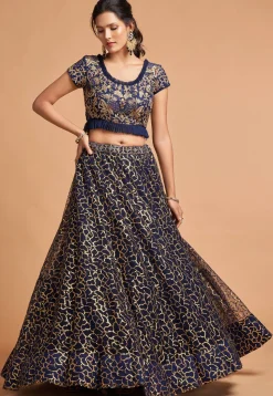 Embroidered Net Lehenga in Navy Blue