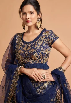 Embroidered Net Lehenga in Navy Blue