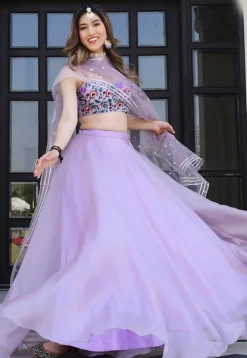 Embroidered Net Lehenga in Purple