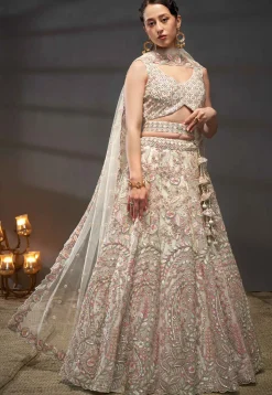 Embroidered Net Lehenga in Cream