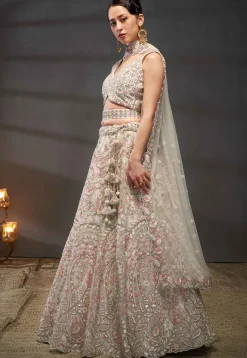 Embroidered Net Lehenga in Cream