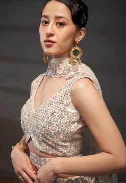 Embroidered Net Lehenga in Cream