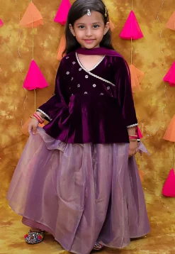 Embroidered Net Lehenga in Dusty Purple