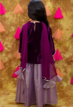 Embroidered Net Lehenga in Dusty Purple
