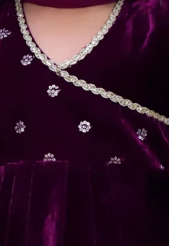 Embroidered Net Lehenga in Dusty Purple