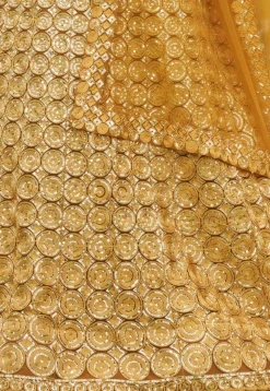 Embroidered Net Lehenga in Mustard