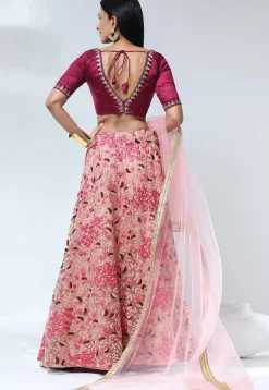Embroidered Net Lehenga in Peach