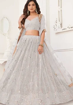 Embroidered Net Lehenga in Off White