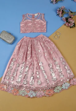 Embroidered Net Lehenga in Pink
