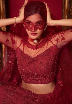 Embroidered Net Lehenga in Maroon