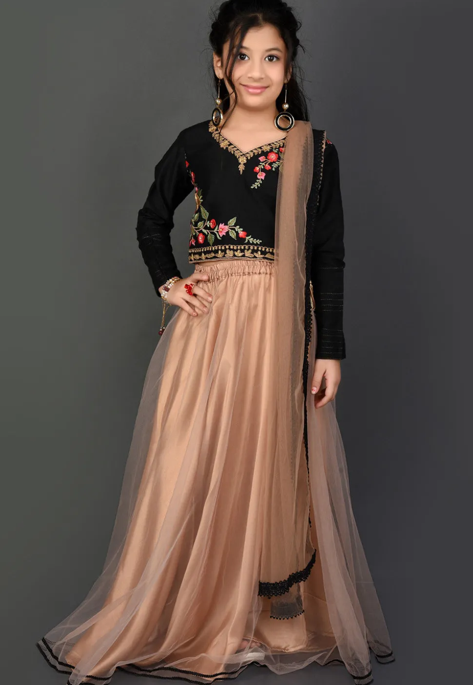Embroidered Net Lehenga in Beige