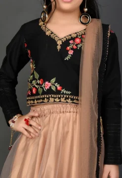 Embroidered Net Lehenga in Beige
