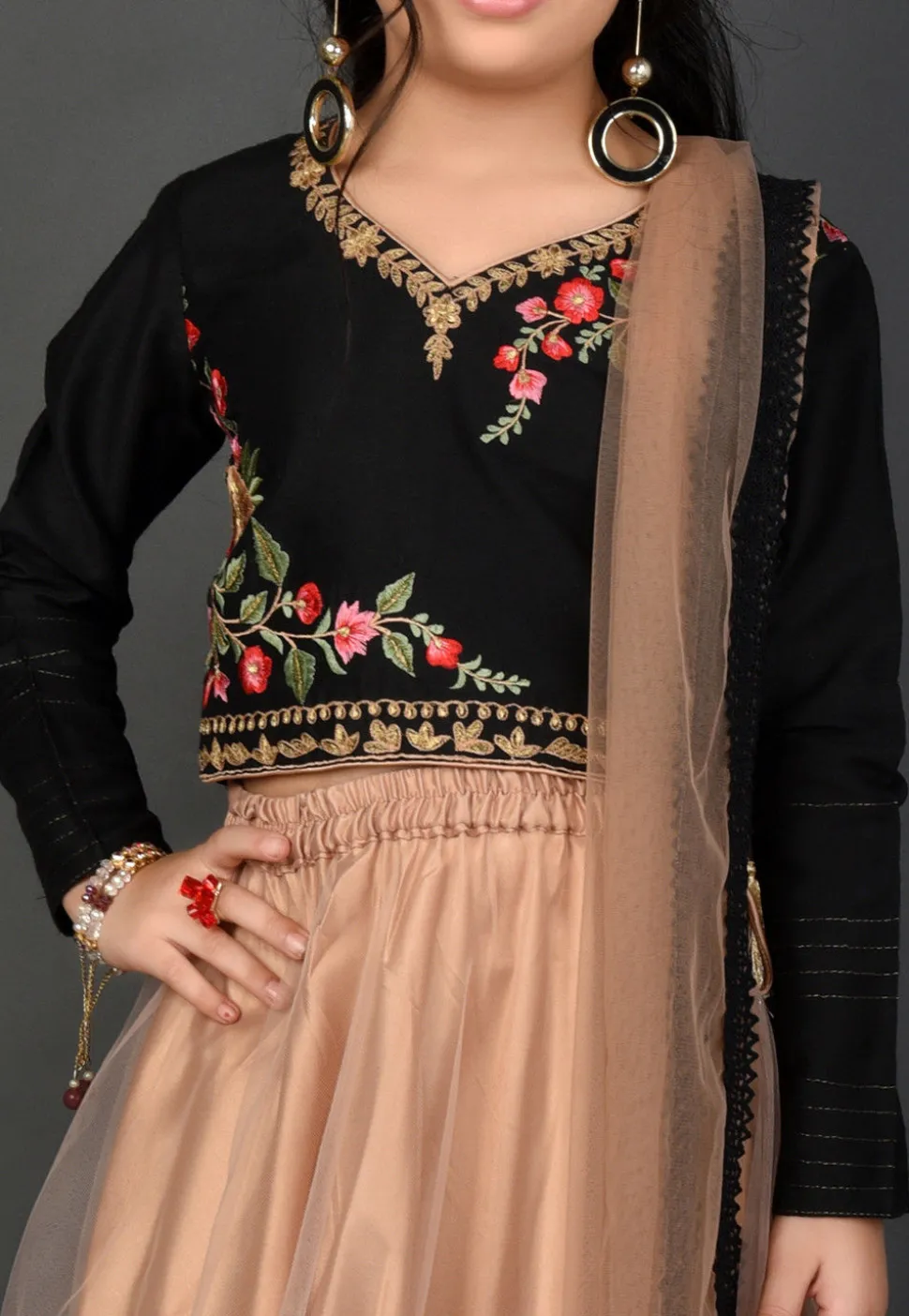 Embroidered Net Lehenga in Beige