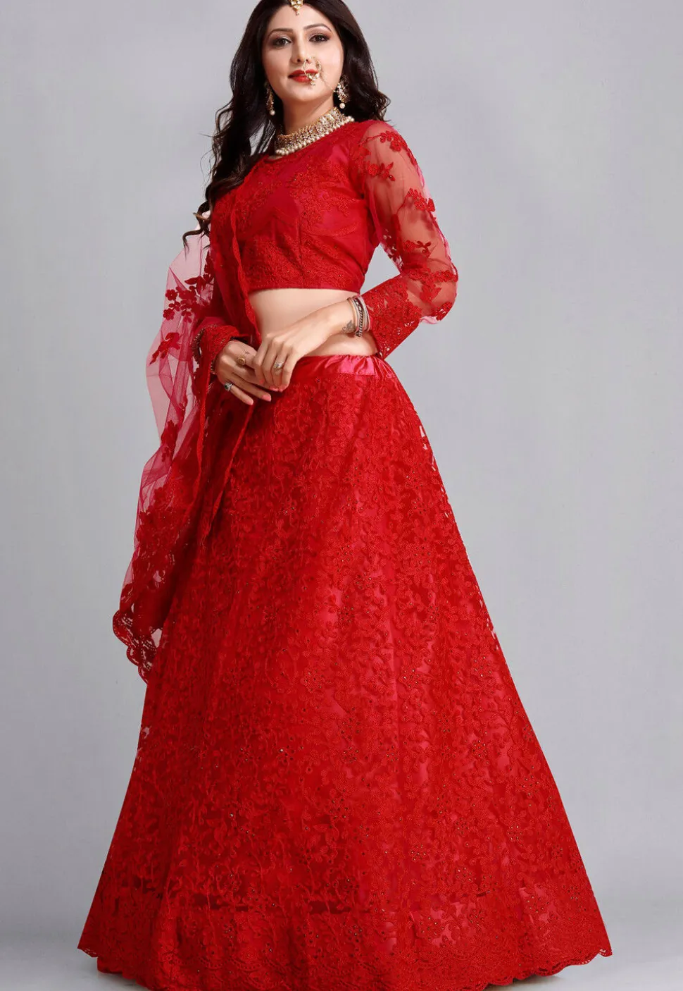 Embroidered Net Lehenga in Red