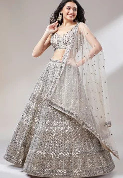 Embroidered Net Lehenga in Fawn