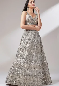 Embroidered Net Lehenga in Fawn