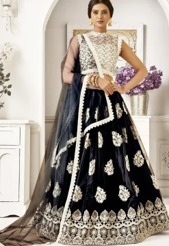 Embroidered Net Lehenga in Black