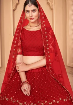 Embroidered Net Lehenga in Red