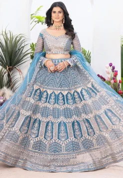 Embroidered Net Lehenga in Blue