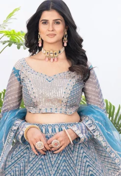 Embroidered Net Lehenga in Blue