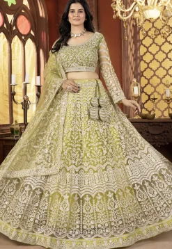 Embroidered Net Lehenga in Light Green