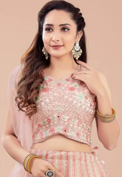 Embroidered Net Lehenga in Peach