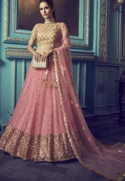 Embroidered Net Lehenga in Pink