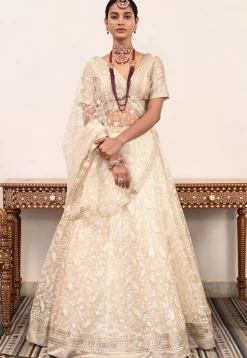 Embroidered Net Lehenga in Beige