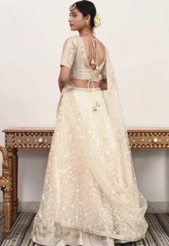 Embroidered Net Lehenga in Beige