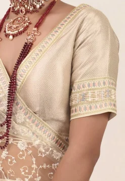 Embroidered Net Lehenga in Beige