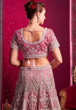 Embroidered Net Lehenga in Pink