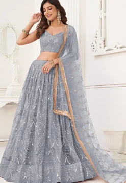 Embroidered Net Lehenga in Grey