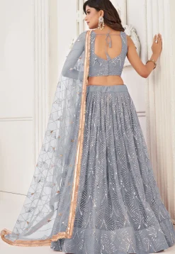 Embroidered Net Lehenga in Grey