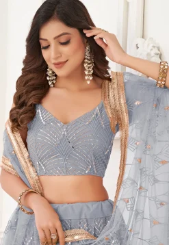 Embroidered Net Lehenga in Grey