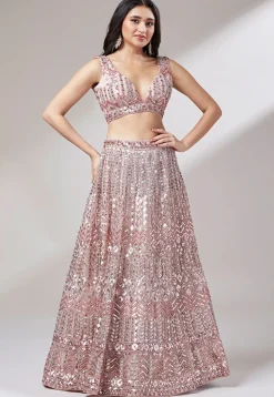 Embroidered Net Lehenga in Peach